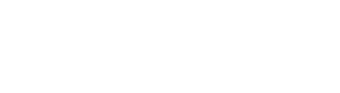 Fortinet Logo